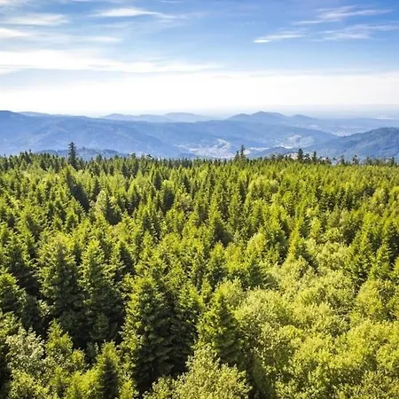 Apartamento Design-apartment Modern Times- Zentral & Ruhig Schluchsee